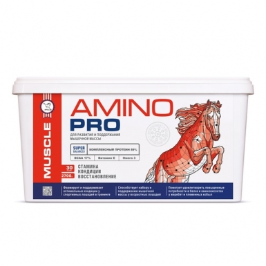 Амино Про набор и поддержание мышечной массы 2,7 кг